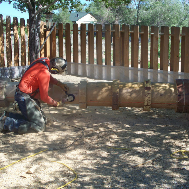 Native Wood Carvings